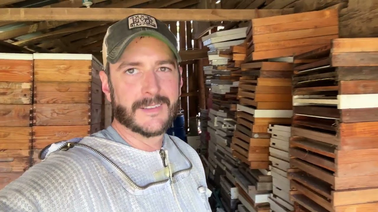 Без борьбы невозможно оценить успех — (Строительство пчеловодческого бизнеса, №104)