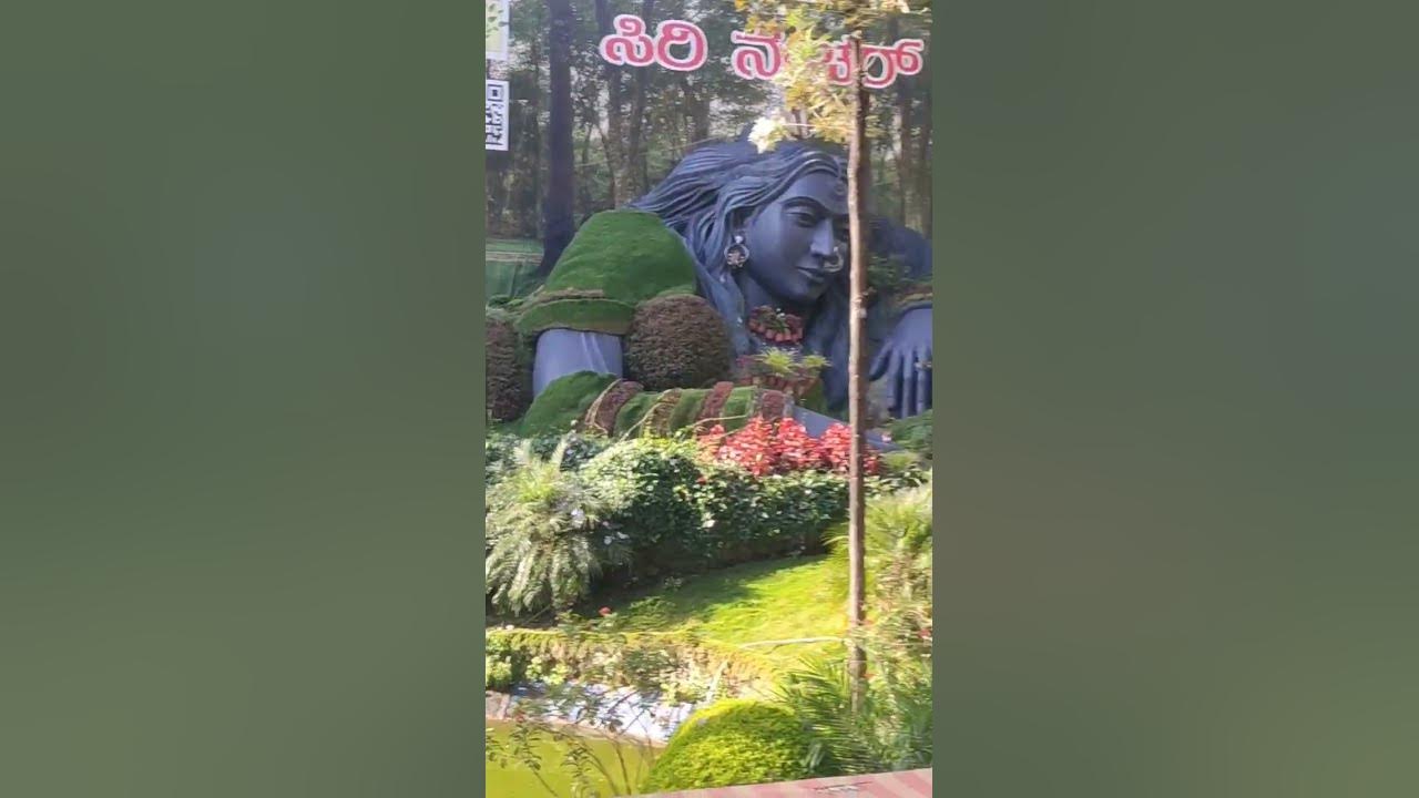 in-world-famous-coffee-shop-in-india-chikmagalur-banglore