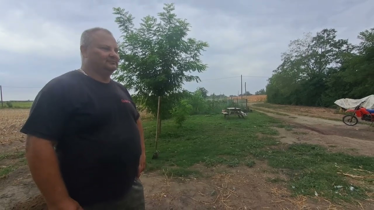 Attila elaludt vezetés közben,  elmondja hogy volt  &   kukorica asztalt felakasztása