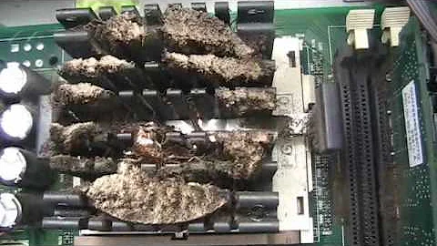 Cleaning of a Roach infested Computer Part 1