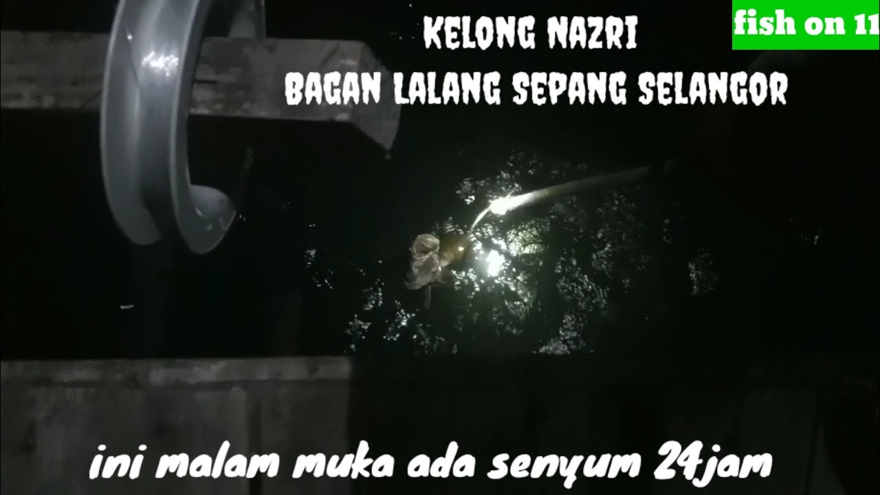FISH ON 11 ekspedisi memancing di Kelong Nazri Bagan Lalang Sepang Selangor
