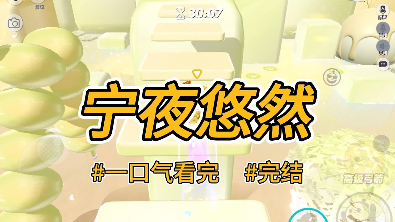 《宁夜悠然》我是商户女，嫁与侯府做填房。我侍奉夫君，孝敬公婆，教养继子，却下场凄can。