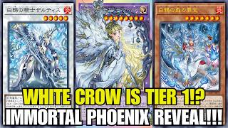The Sinful Spoils OF The White Crow! Diabellstar Is Back!!! Immortal Phoenix! Yu-Gi-Oh!
The Sinful Spoils OF The White Crow! Diabellstar Is Back!!! Immortal Phoenix! Yu-Gi-Oh!
►Wanna help support the channel, check out our Merch and Patreon!
►Check out DarkArmedDuelist Merch at:
https://darkarmedduelist-shop.fourthwall.com/
►DarkArmedDuelist Patreon:
https://www.patreon.com/DarkArmedDuelist?alert=2
🐉🐉🐉
PATRONS:
TIER: DARK ARMED ANNIHILATION DRAGONS!
BlazingDuelist
Izzy
Mimi
Terverion
TIER: DARK ARMED DRAGON!
Braxton Hogeland
Drew Garrigus
Gloomba331
Luke Galt
Nicholas Lydick
ShinryuVEX
TIER: BLACK SKULL DRAGON
KingJackGames
TIER: FLARE METAL DRAGON
Santiago Pita
Thank you to all Patrons who support the Channel! The DarkArmedDuelist channel would not be the channel it is today without Supporters, Members and Fans like you! Thank You!!!
►Join the DarkArmedDuelist channel to get access to perks:
https://www.youtube.com/channel/UCgYLByGrbrlX-qTsk4zHBow/join
Other Social Media You Can Follow Me On!
►DarkArmedDuelistShorts
https://www.youtube.com/@DarkArmedDuelistShorts
►DarkArmedDuelist Facebook Page
https://www.facebook.com/profile.php?id=100069144529364
►DarkArmedDuelist Twitter
https://twitter.com/Darkarmeduelist
►DarkArmedDuelist Instagram:
https://www.instagram.com/darkarmedduelist/
►DarkArmedDuelist TikTok:
https://www.tiktok.com/@darkarmedduelistofficial
►DarkArmedAlliance {Yugioh Group}:
https://www.facebook.com/groups/429308707252277/
Wanna Send in Something? Send Fan Mail Here!
►Fan Mail:
P.O. Box 1386 Pinson, Alabama 35126
Check Out These Awesome Stores That Support The Channel!
►HookedBySavy Etsy Store: https://www.etsy.com/shop/HookedBySavy
Use promo code DAD10 to get 10% off your order with HookedBySavy on etsy!
►HookedBySavy Facebook page:
https:www.facebook.com/HookedBySavy
►HookedBySavy Instagram:
https:www.instagram.com/hookedbysavy/?hl=en
Need Yu-Gi-Oh! Cards? Try These Awesome Stores!
►Trading Card Mint
https://www.tradingcardmint.com/
7% off at Trading Card Mint on YGO Singles and Sealed Product with code dad10 (all lowercase)
►Buds Place TCGplayer:
https://budsplacegames.tcgplayerpro.com/
►Ygorganization the best place for Yu-Gi-Oh! news:
https://ygorganization.com/
The Sinful Spoils OF The White Crow! Diabellstar Is Back!!! Immortal Phoenix! Yu-Gi-Oh!
#yugioh #DarkArmedDuelist #deckprofile The Sinful Spoils OF The White Crow! Diabellstar Is Back!!! Immortal Phoenix! Yu-Gi-Oh!