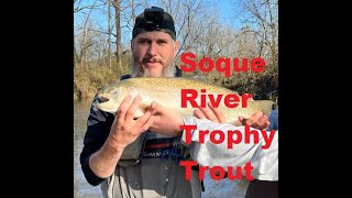 Trophy Trout on Georgia's famous Soque River at Fern Valley's  The Meadows section