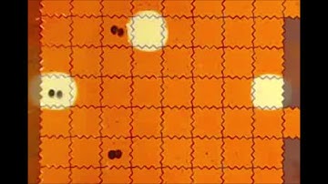 High density DNA data storage library via dehydration with digital microfluidic retrieval