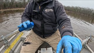 Leech traps have been set .