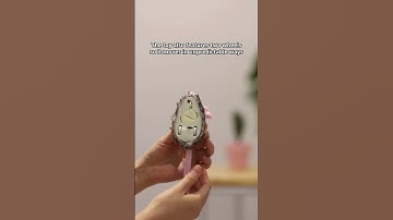 Gigwi Interactive Cat Toy Mouse