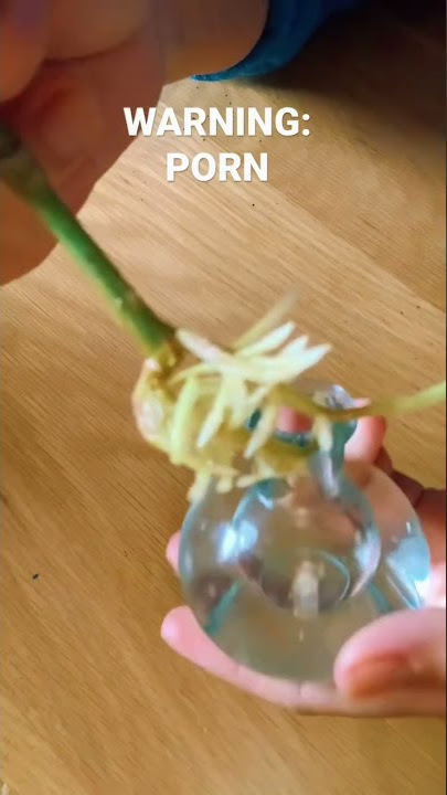 SATISFYING ROOT PORN #asmr #shorts #shortsvideo #satisfying