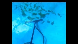 Remove agae dust from bottom of pool quick and cheap
