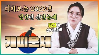 개띠  다가오는 2022년 임인년 개띠운세 귀인이 들어오는 매우 좋은 해! 조심해야 될 것과 좋은점에 대해 …