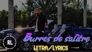 Farruko ❌ Ñengo Flow - Burros De Salitre 🏗🚤 (Letra/Lyrics)