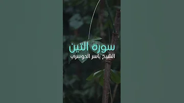 سورة التين كاملة الشيخ ياسر الدوسري 