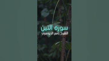 سورة التين كاملةً: الشيخ ياسر الدوسري