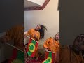 Shagooyee Oromo Dance Oromo Adaa Shorts Oromopride Joleeoromo Oromobeauty Oromia
