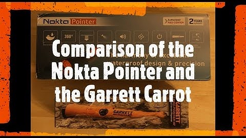 Review/Comparison of the Nokta Pointer and the Garrett Pro Pointer AT