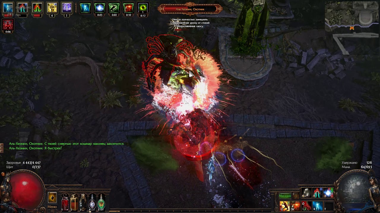 Path of Exile 2020 Фликер v1