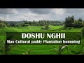 Mao Doshu Nghii| Cultural Paddy Plantation Humming| Mao Song Bank