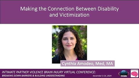 IPV-BI Conference 2024: Making the Connection Between Disability and Victimization