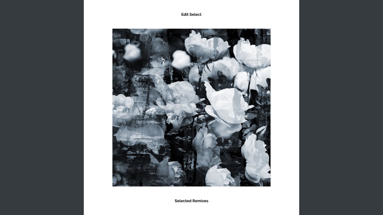 Nyctophillia (Edit Select Remix)