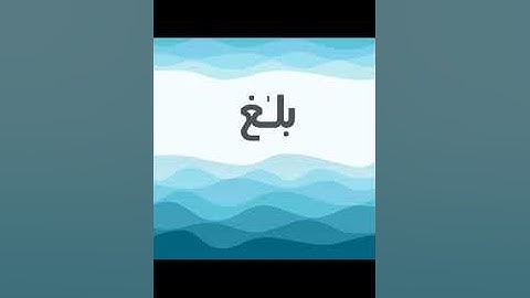 تلاوة رائعة من أواخر سورة الأحقاف بصوت الأستاذ الفاضل أبي توفيق بشار بن أحمد عييد