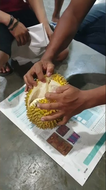 LAGI MUKBANG DUREN SAMA TEMAN-TEMAN | HALU STORY #shorts  #storyhalu #storyig #storywa