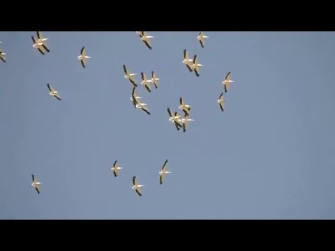 ჯავახეთის დაცული ტერიტორიები