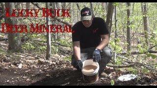 Using Lucky Buck in the Deer Mineral Pit