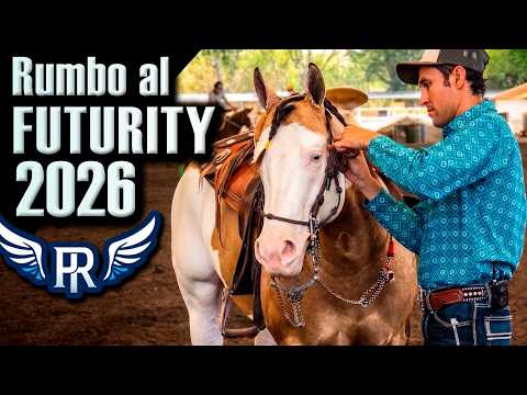 Pichon Rios - Part 8 - Preparation for the 2026 Futurity - 8th Horse Yellowstone