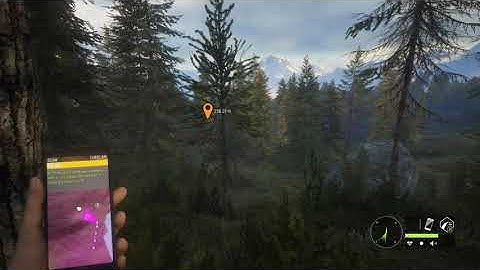 theHunter COTW disappearing tracks glitch