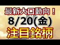 最新大口動向！自社株買い！【8月20日(金)の注目銘柄まとめ】本日の株式相場振り返りと明日の注目銘柄・注目株・好材料・サプライズ決算を解説、株式投資の参考に。