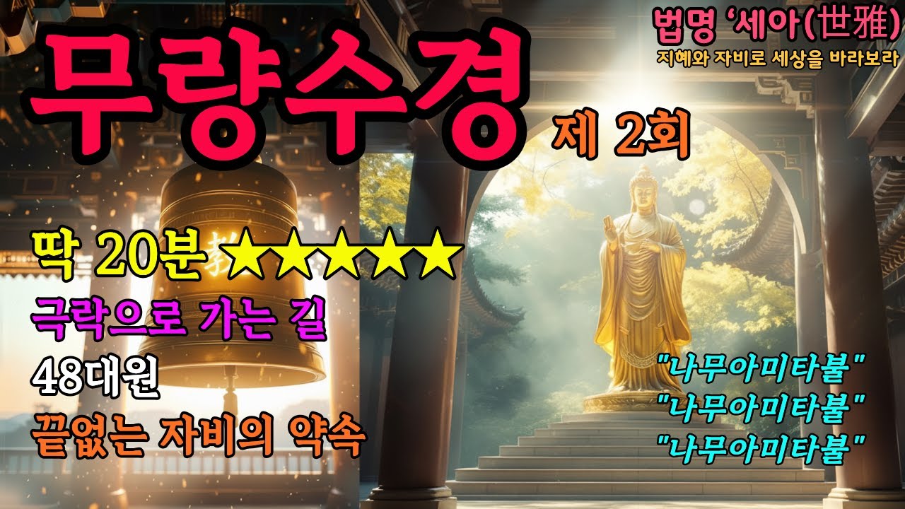 20분만 딱 집중하는 무량수경 제2회 핵심정리
