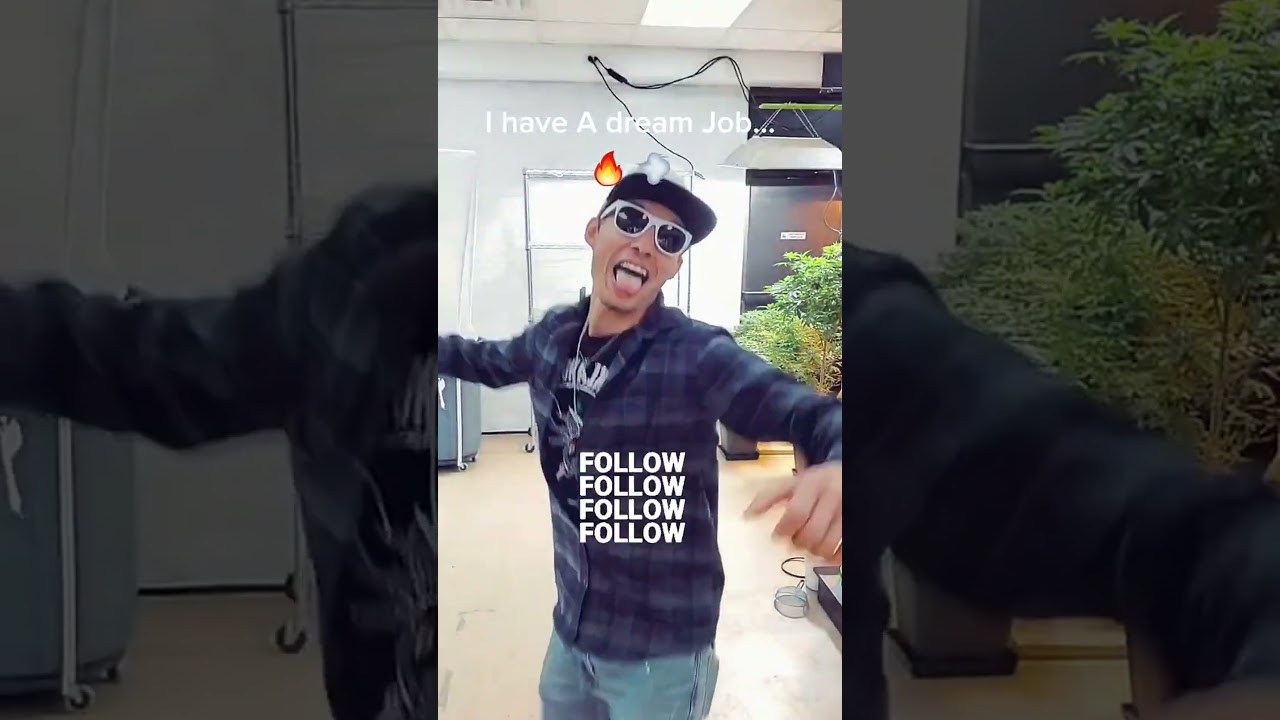 Dream Job Vibes: Cannabis Grow Op Fun