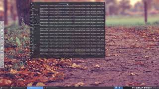 ArcoLinux : 591 installing the linux-mainline kernel coming from AUR - skipping pgpkeys - on ssd
