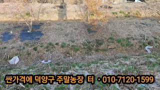 덕양구주말농장싼 농지010-7120-1599상담 바랍니다