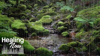Water and Rain Sounds in a Deep Forest where Fairies seem to Live  Nature Sounds for Sleep, Relax