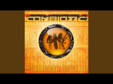 Combiotic (Original Mix)