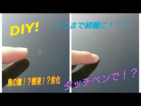 樹液や鳥の糞による取り返しのつかないダメージが タッチペンで復活 Youtube