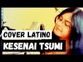『Kesenai Tsumi』( Full Metal Alchemist ★ Ending 1 ) Spanish Cover