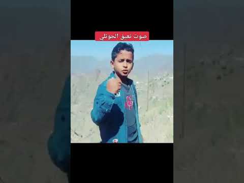 طفل يمني صوت نعيق الحوثلي 