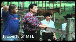 Tatlong Baraha - Part 5/8 (2006 Movie) - Lito Lapid, Mark Lapid, Maynard Lapid