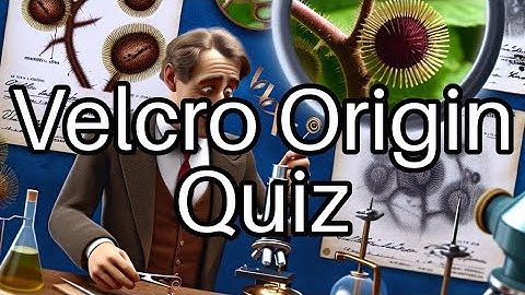 🚀 Test Your Knowledge: The Fascinating Origins of Velcro Revealed!