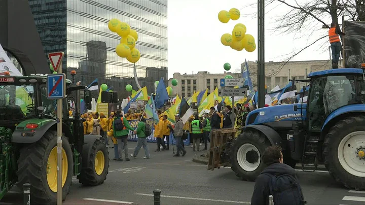 Farmers rally in Brussels to protest EU-Mercosur trade deal | AFP