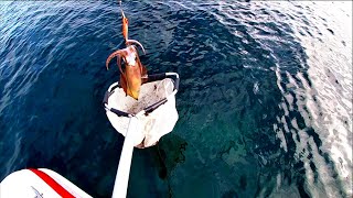 SQUID FISHING off the Boat | SOUTH AUSTRALIA Squidding | Yorke Peninsula - Ep 19