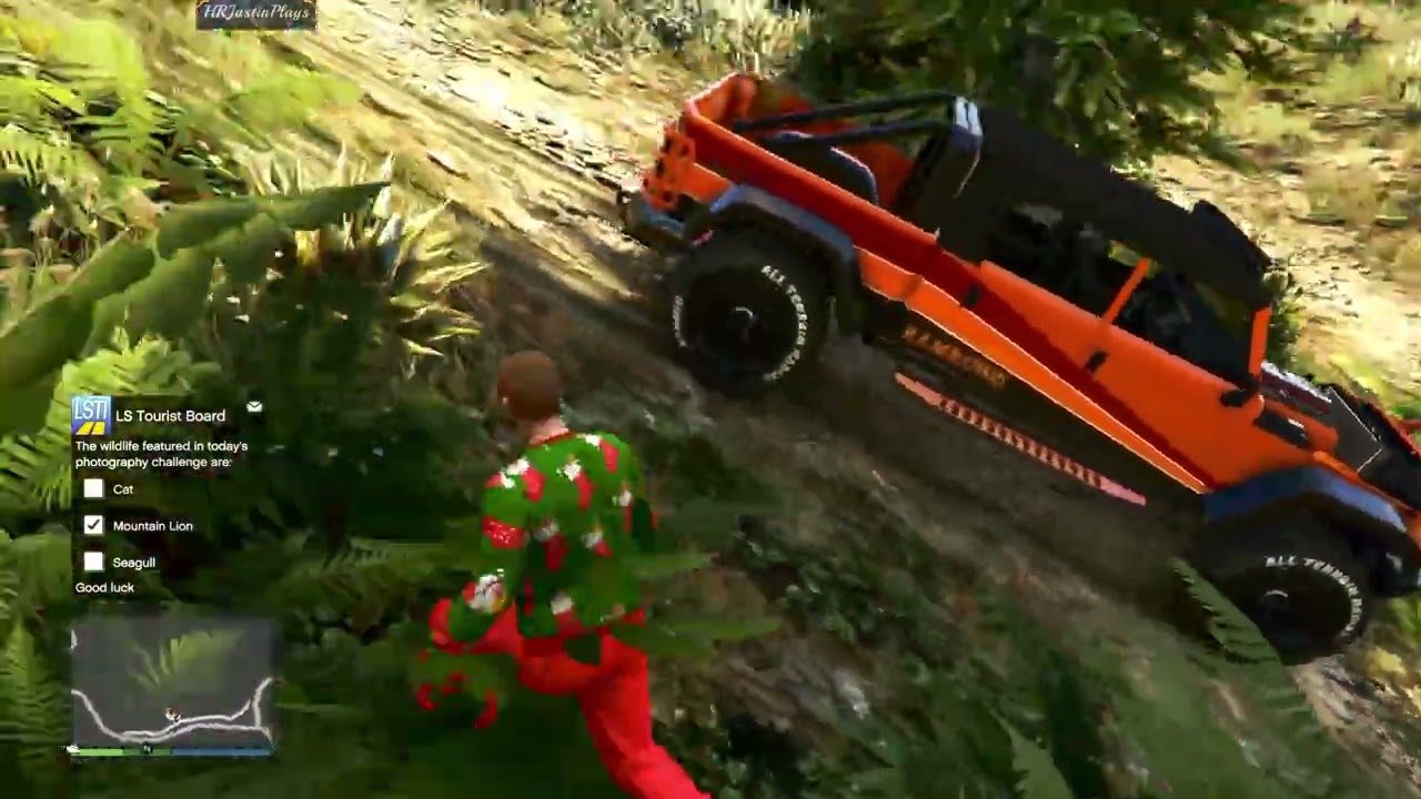 Stash House - Shoot Animals Photos - Mountain Lion - Seagull - Mansion Cat Yoga - Simeon Feltzer