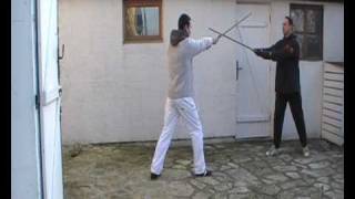 Codex Wallerstein (part 1) - German Longsword - PEAMHE