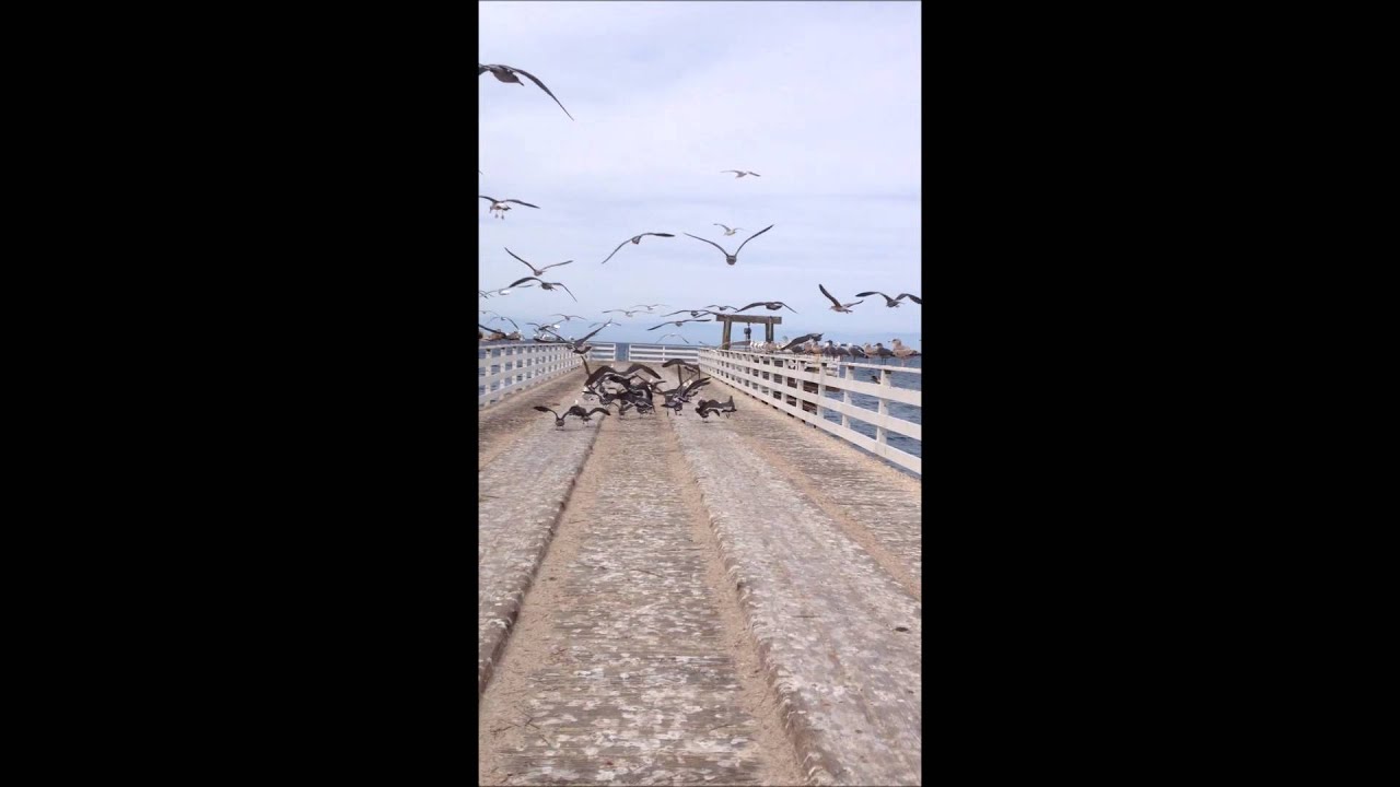 camera iphone 8 plus apk Prisoner's Pier