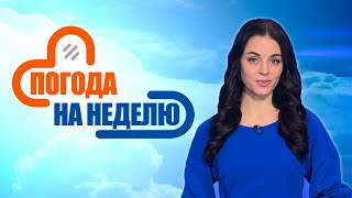 Дождались – тепло возвращается в Беларусь! | Прогноз погоды с 27 апреля по 4 мая | Плюс-минус