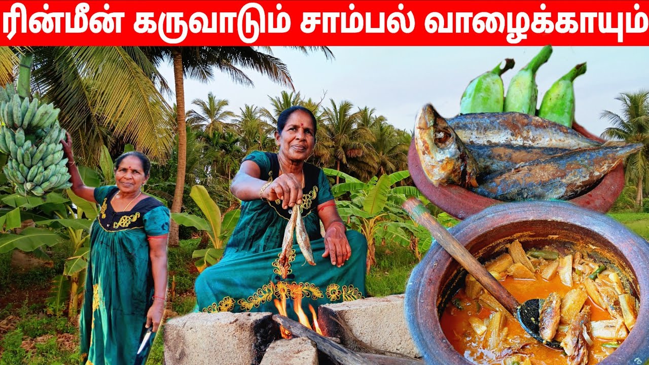 மருத்துவகுணம் கொண்ட தோட்டத்து சமையல் l village life 💚 vanni bro 