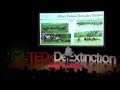 Restoring europe's wildlife with aurochs and others: Henri Kerkdijk-Otten at TEDxDeExtinction