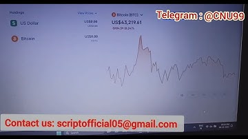 Blockchain Unconfirmed Transaction Script  2026